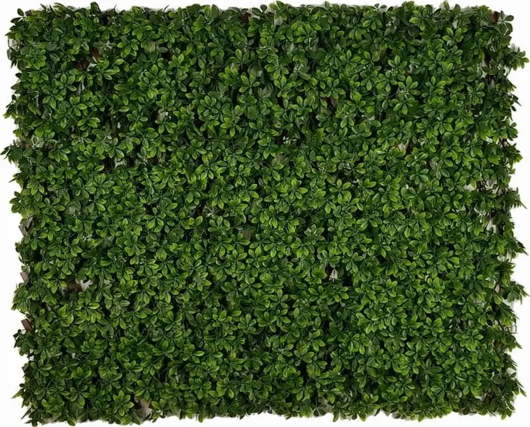 Foto Plot Demeko Trading Schefflera Ext Um l iv Plot 1 X 2 M Zbozi cz foto-plot-demeko-trading-schefflera-ext-um-l-iv-plot-1-x-2-m-zbozi-cz